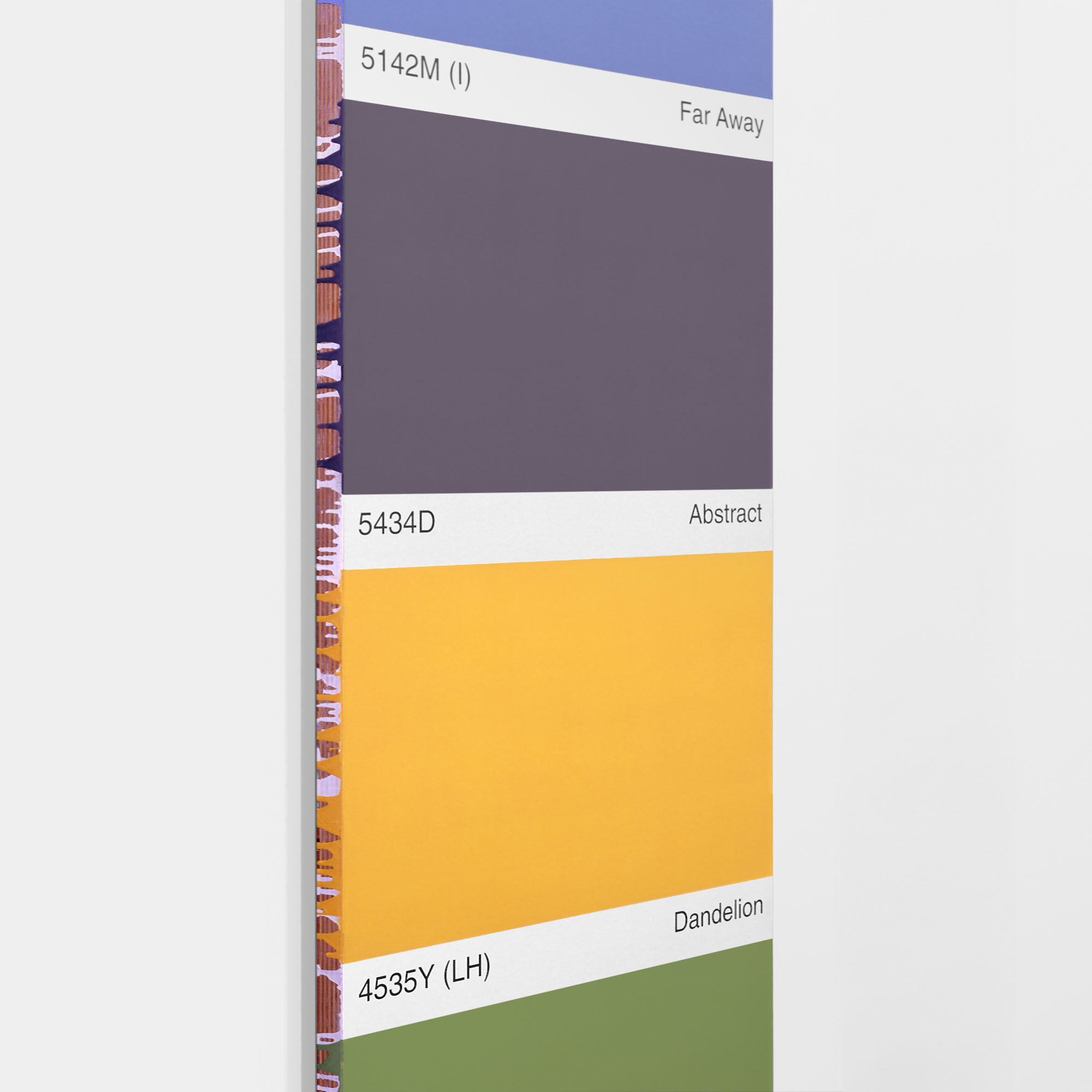 Paint Chip Paintings